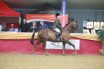 SBM_09633