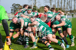 Guernsey Raiders v Rochford Hundred 2023-71