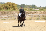 SBM_003433