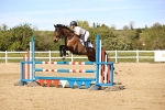 SBM_003368