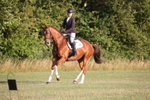 Class 3 - Novice 3 portfolio