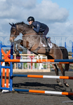 Senior Showjumping_10-11-2019-44