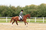 SBM_001347