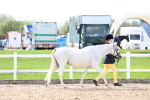 SBM_02430