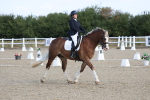 SBM_020263