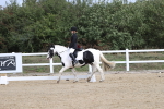 SBM_001974