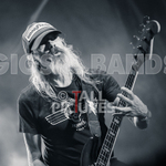 The Electric Shakes-209