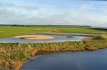 Wexford Wildfowl Nature Reserve, Co. Wexford, Ireland