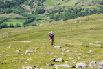 Duddon Short-33