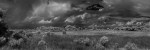 Gathering Storm