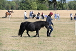 WJ6_4181