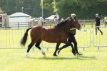 SBM_02106