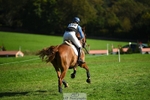 309-CROSSTOWN.FINTANS.LAST-Catherine.Burrell-XC portfolio