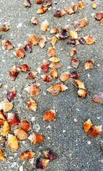 SunBeachWater  _0097