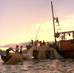KM-46 Fishing at Hei Ling Chau - 1973