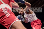 BOUT-8_Sam Masterman v Jordan McIntosh-7