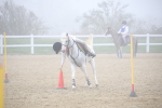 SBM_001056