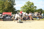 SBM_39401