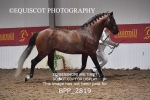 BPP_2819
