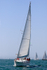 190629 SEA THYME GBR3571L 1Y3A0424_Edit