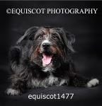 equiscot1477