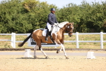 SBM_009309
