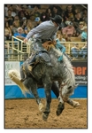 Saddle Bronc Diamond