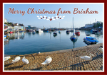 XM053 - Swans at Brixham Harbour