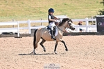 Clear round portfolio