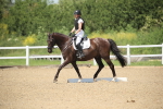 SBM_008868