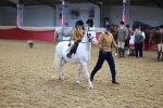 SBM_07705