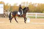 SBM_001351
