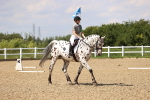 SBM_002064