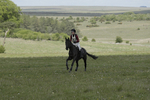 BVHT 140517  IXC -196