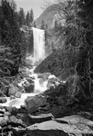 USA - 2008 - Yosemite & the West Coast portfolio