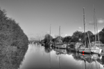 Red Buoy