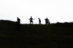 Steel Fell-533
