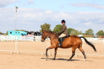 SBM_13498