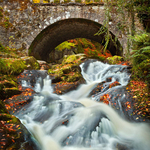 Autumn at Cloughleagh