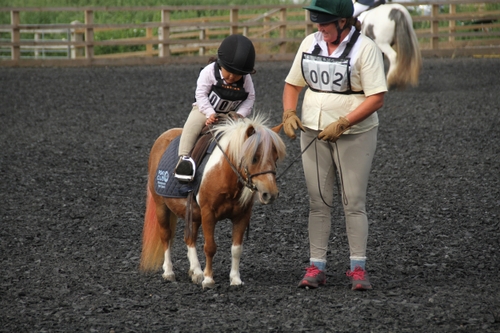 Alvechurch Riding Club show 19/7/26