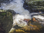 Tollymore River