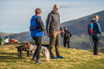 Sale Fell-286