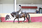 SBM_07023