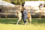 SBM_29386
