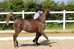 1X9A1124