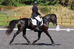 SIAL0564