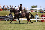 Class 9A: Open Small Hunter portfolio