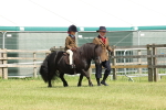 SBM_05187
