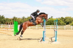 SBM_006159