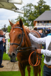 250823-Race 3-Lake Forest-0518